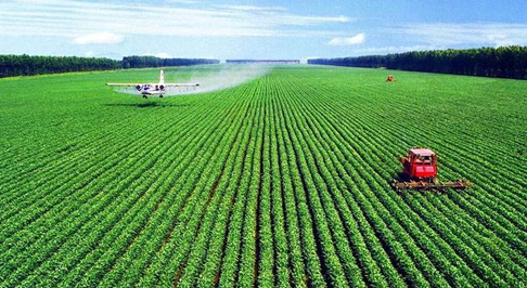 食品、農(nóng)業(yè)